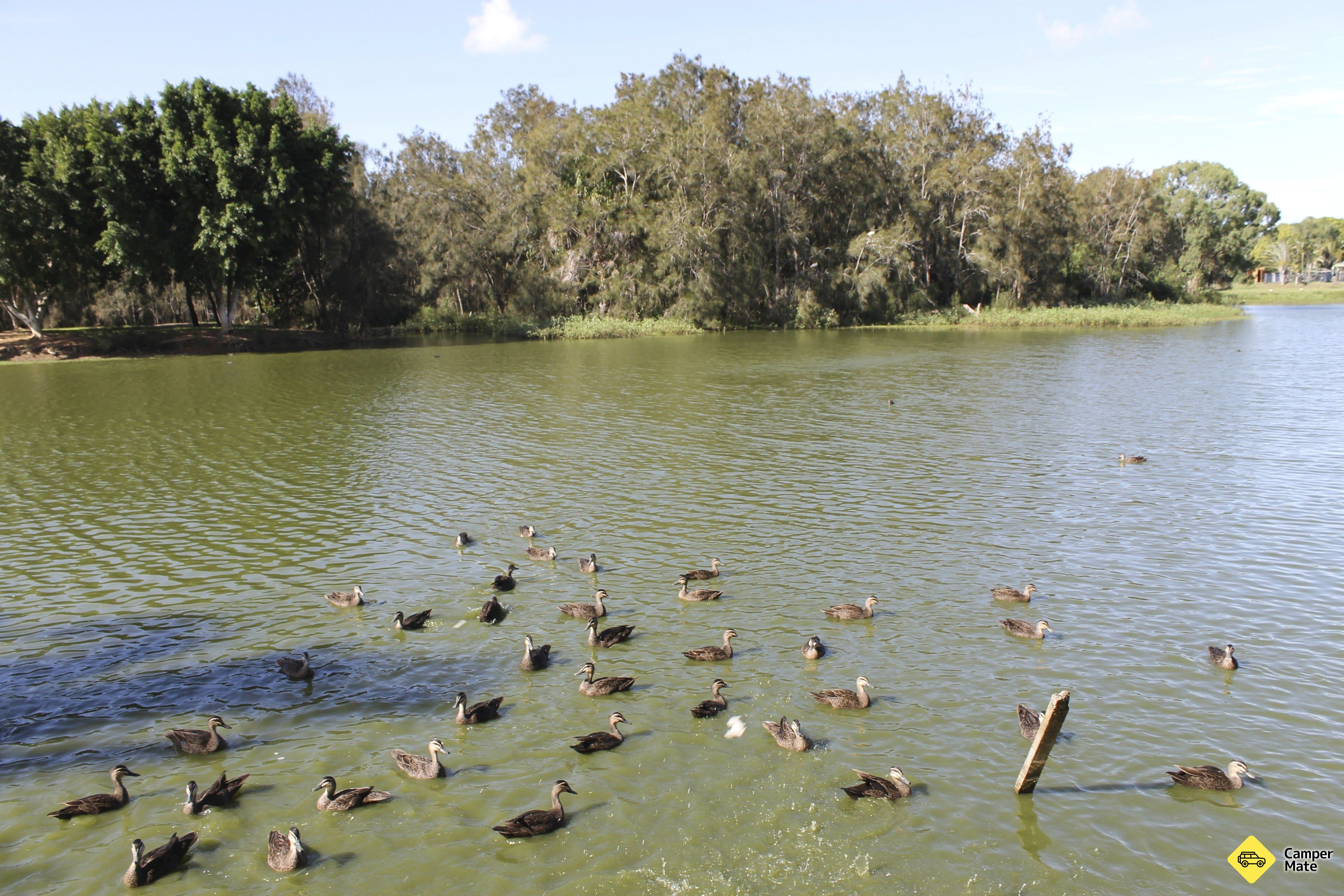Plage de Moore Park