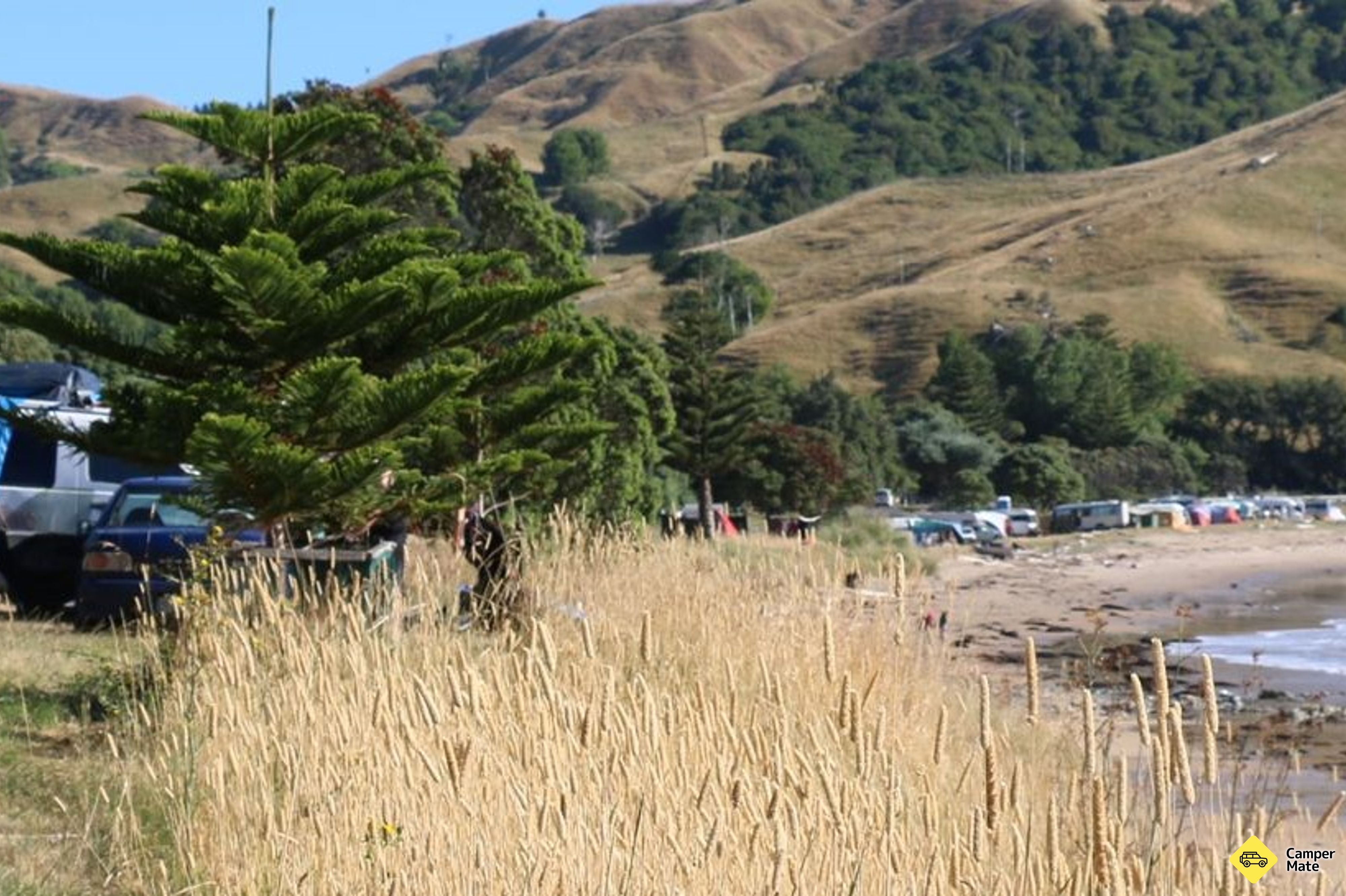 Turihaua Beach (closed 1st May - Labour weekend) - Image 2