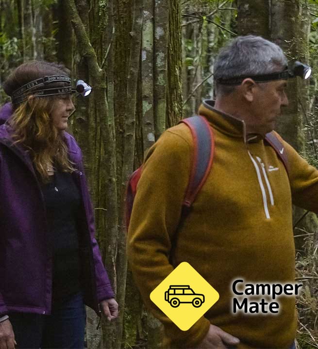Puketi Wilderness Tours