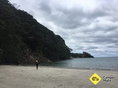 Hauturu (Clark) Island