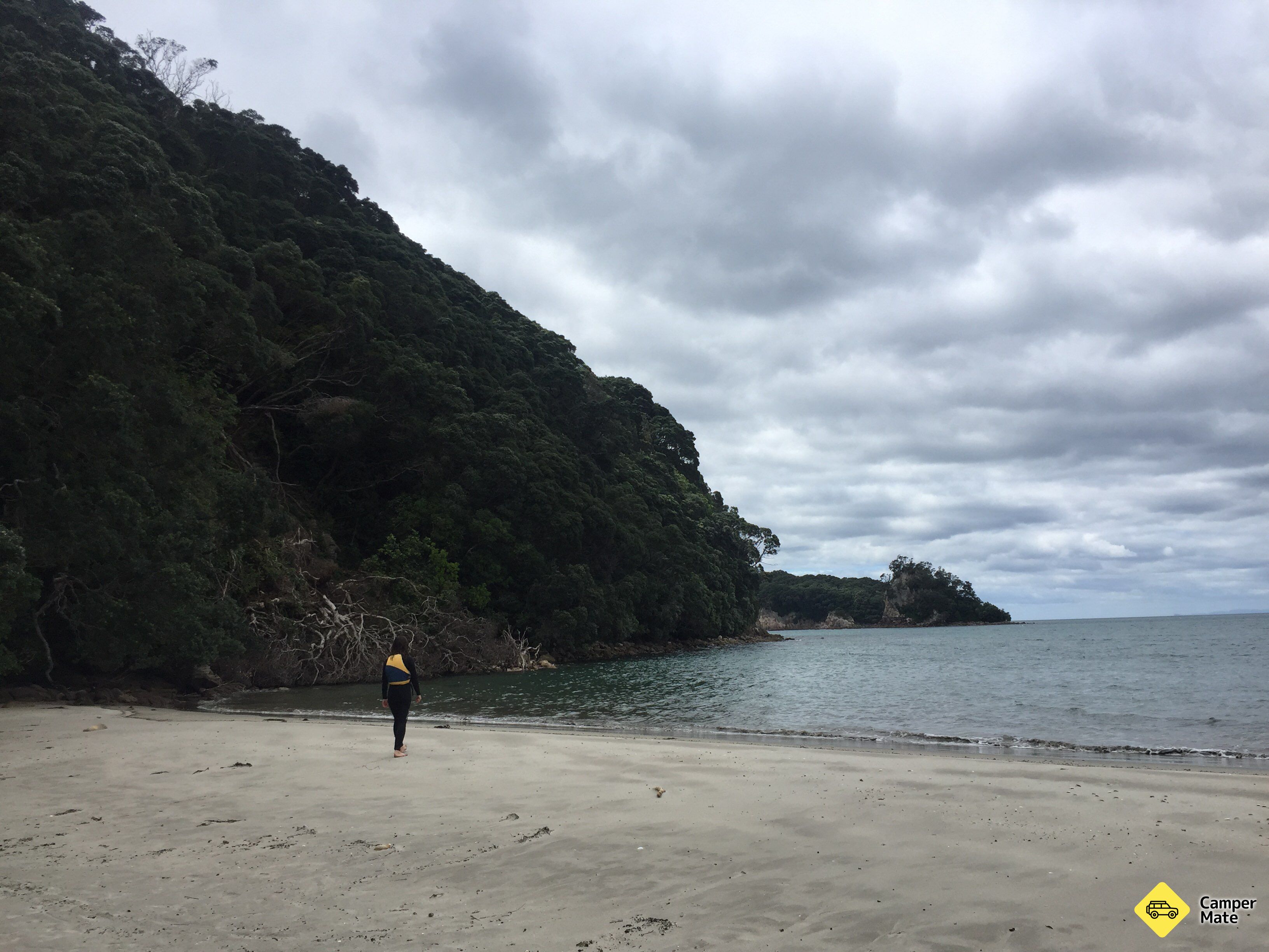 Hauturu (Clark) Island