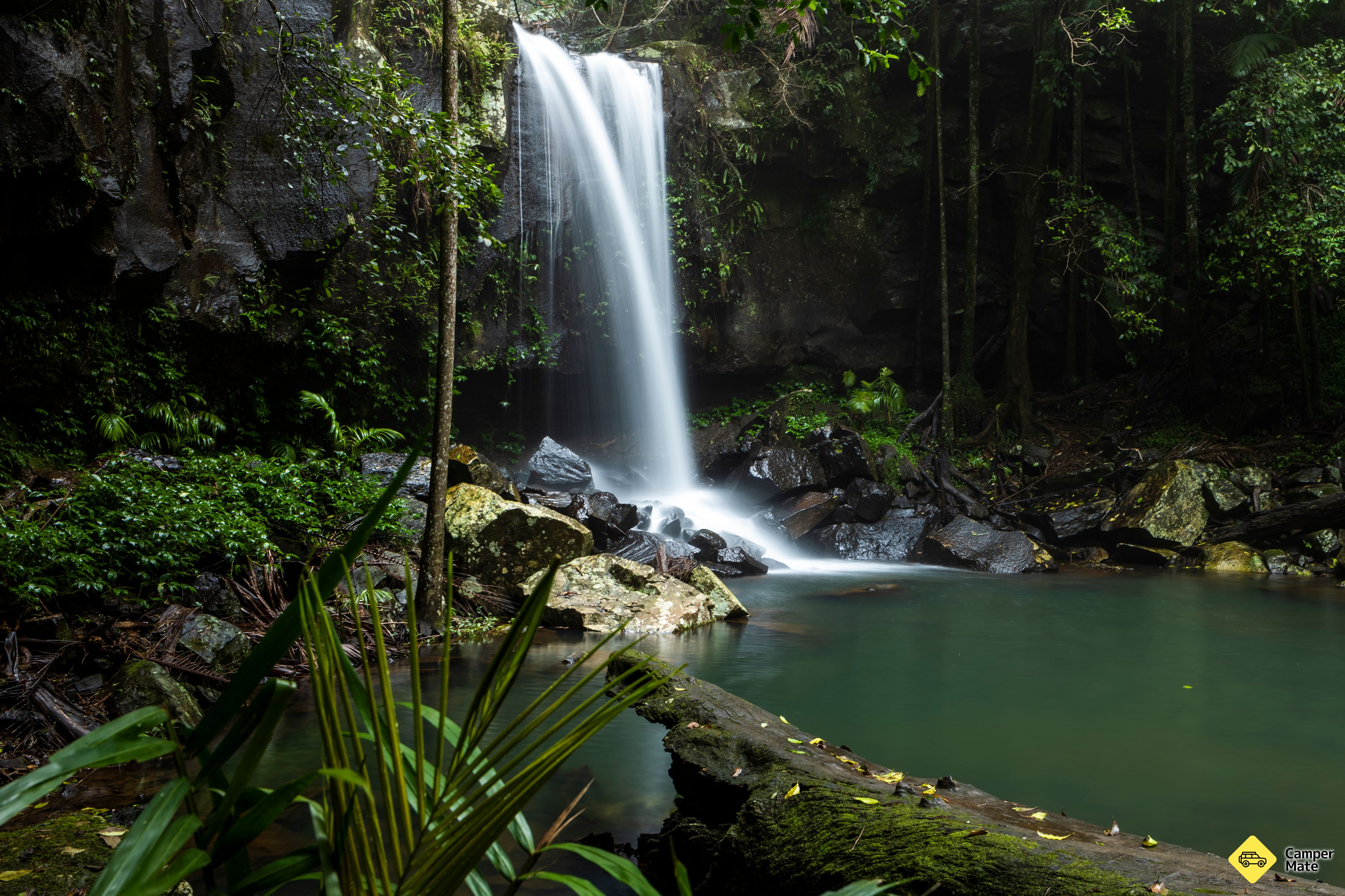 Curtis Falls Walking Track - Image 3