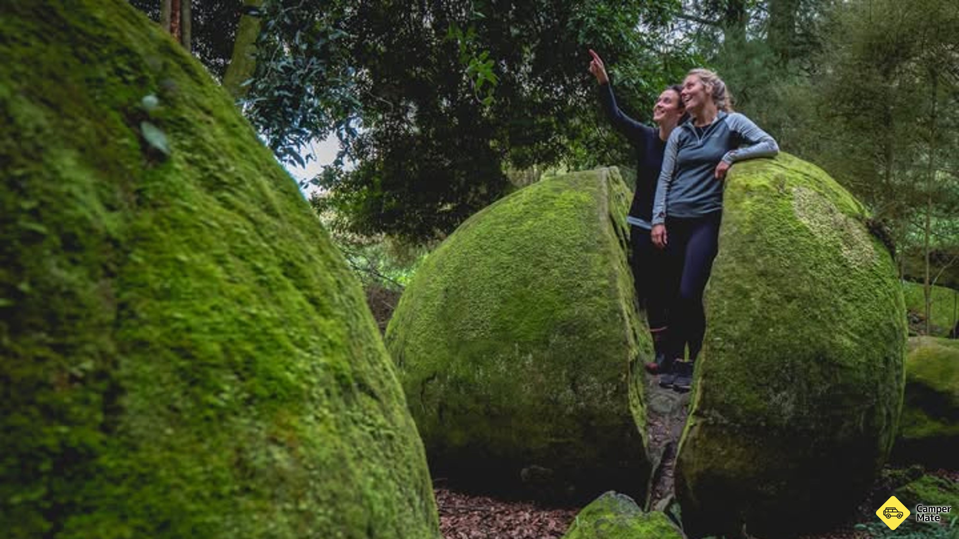 di Whitecliff Boulders