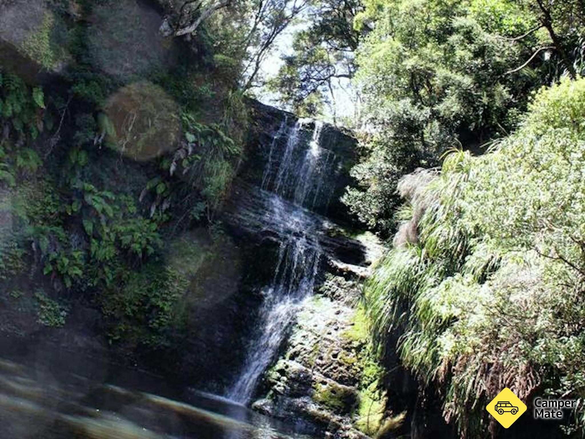 Omeru Falls Track - Image 3