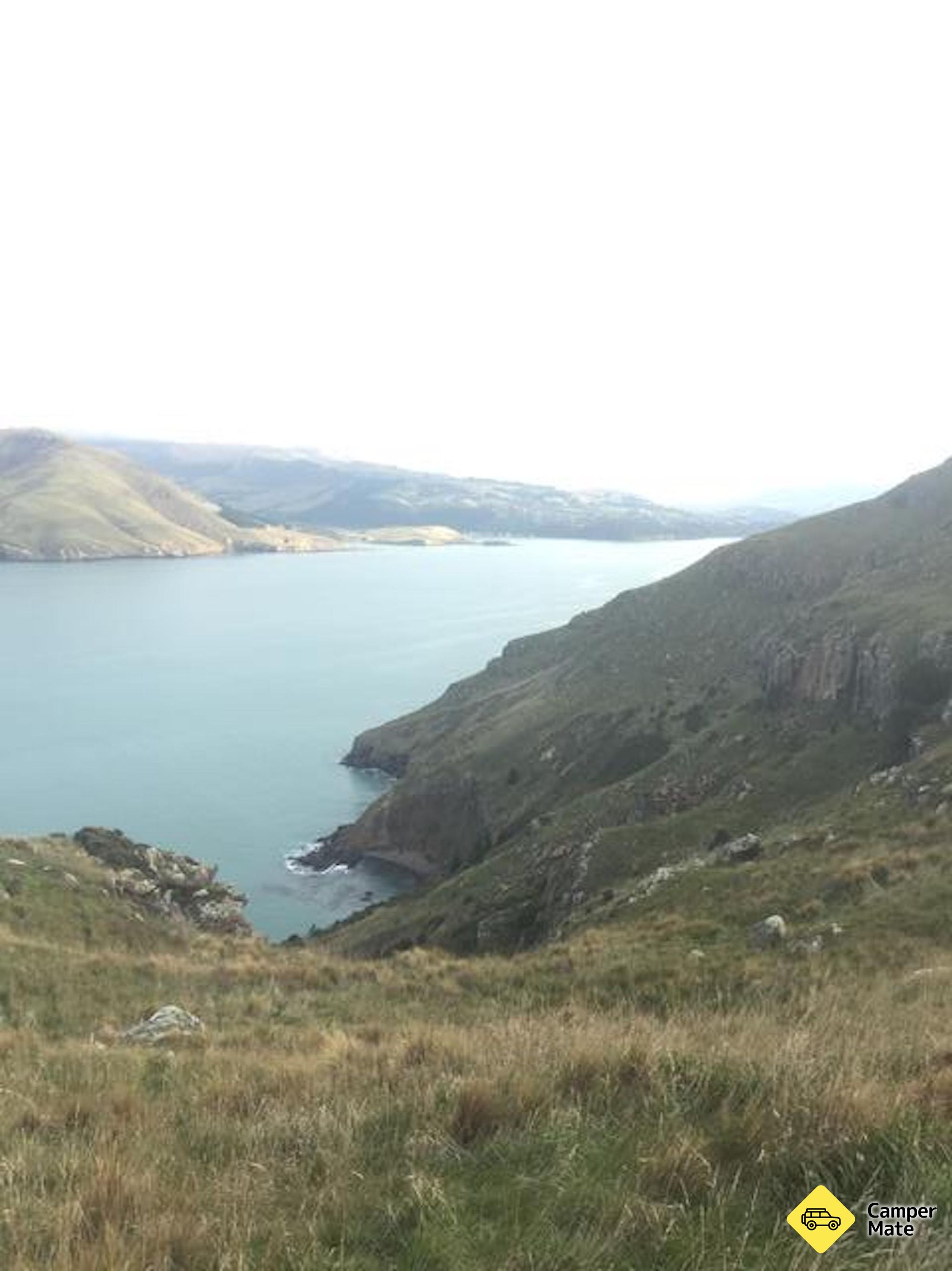 Godley Head - highest point - Image 3