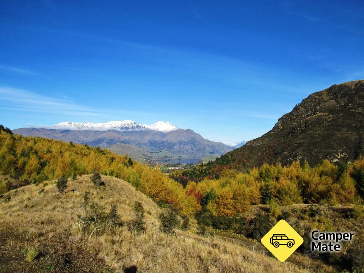 Sawpit Gully Track
