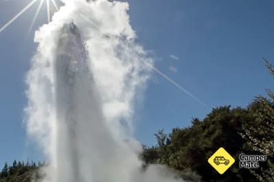 Lady Knox Geyser