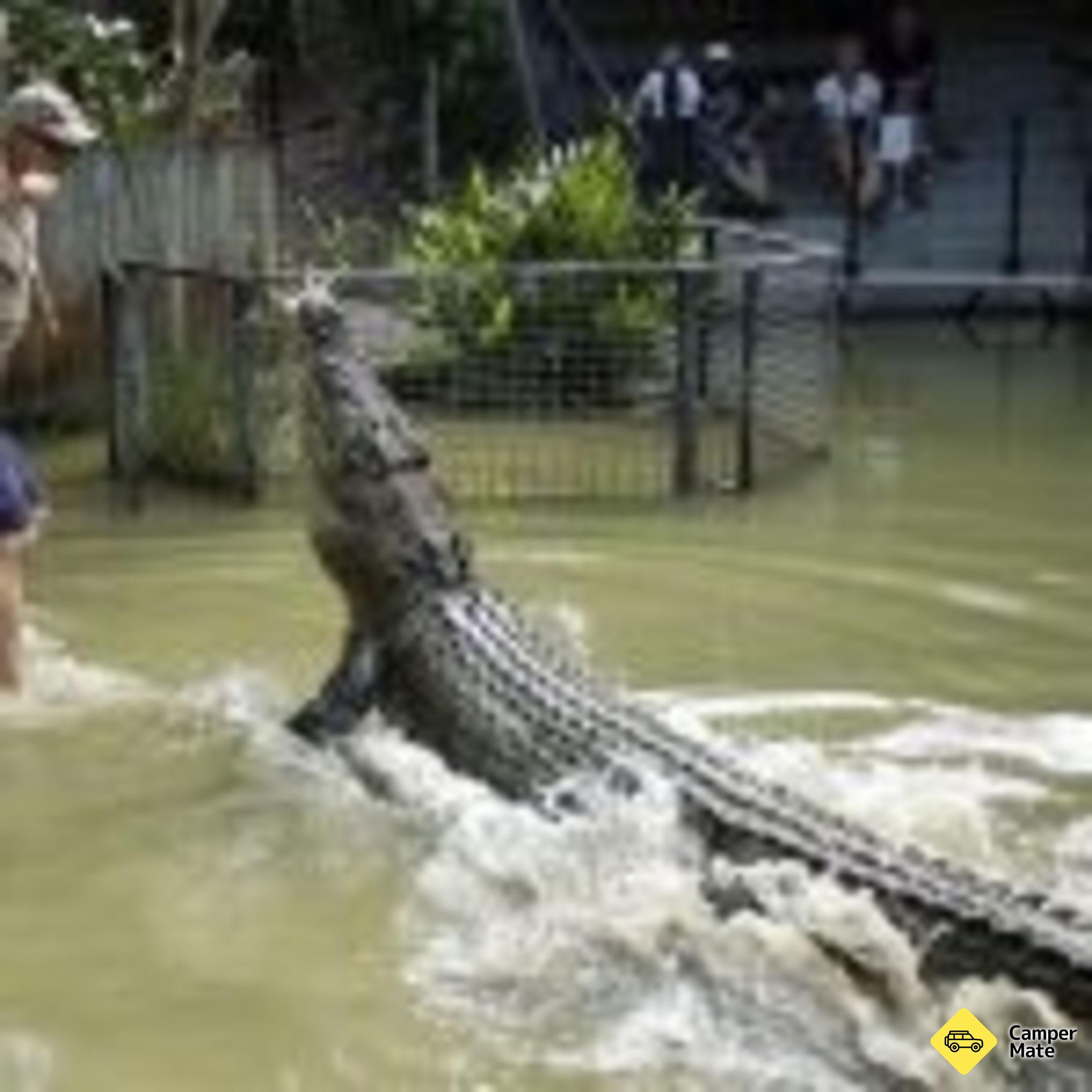 Hartley's Crocodile Adventures - Image 2