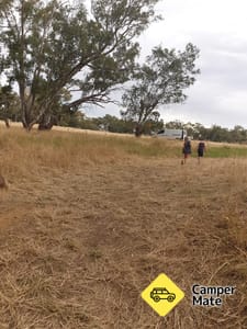 Tullaroop Creek Camp