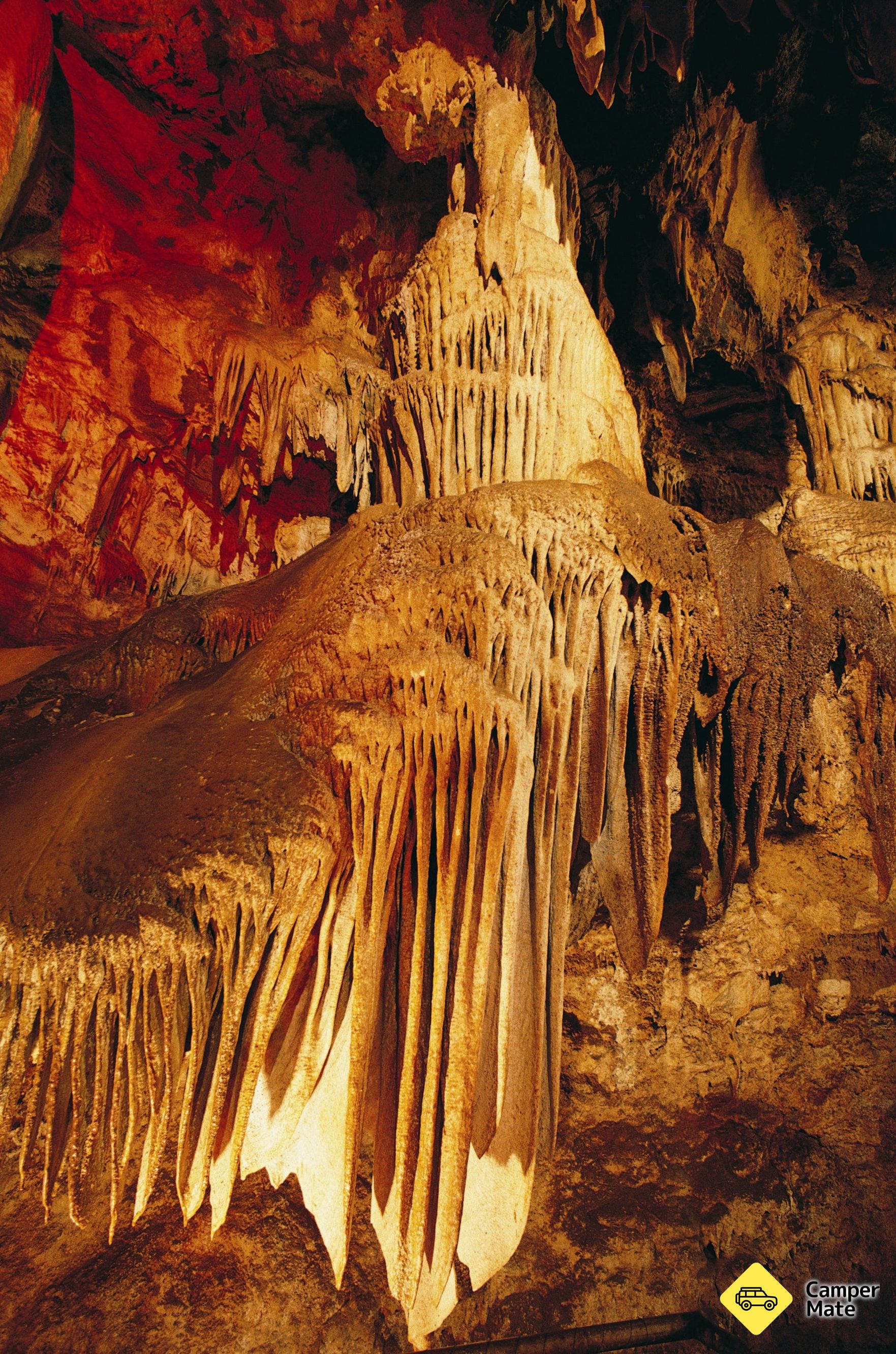 Buchan Caves Reserve - Image 2