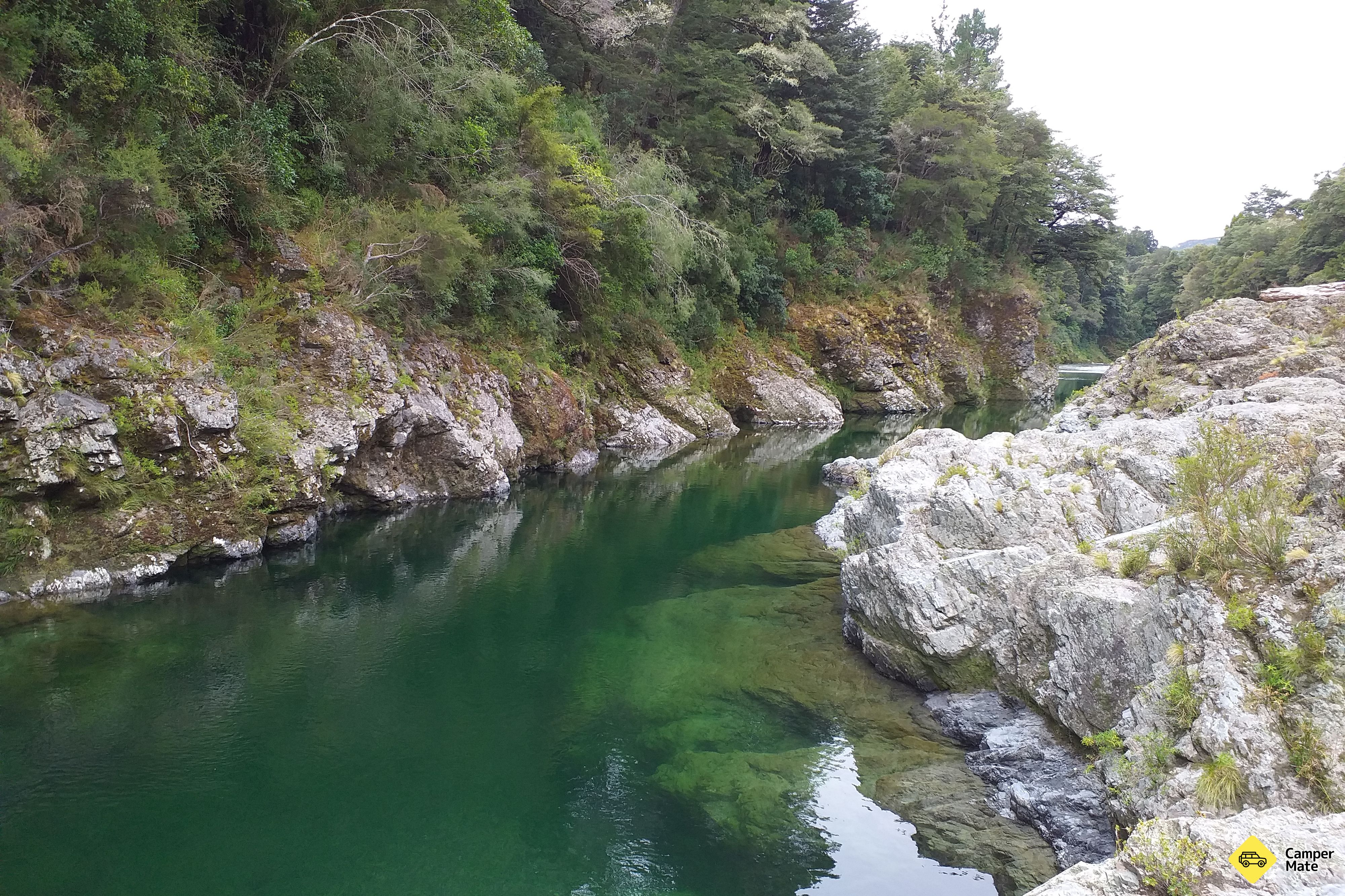 Pelorus Bridge (Kahikatea Flat) Leirintäalue - Image 3