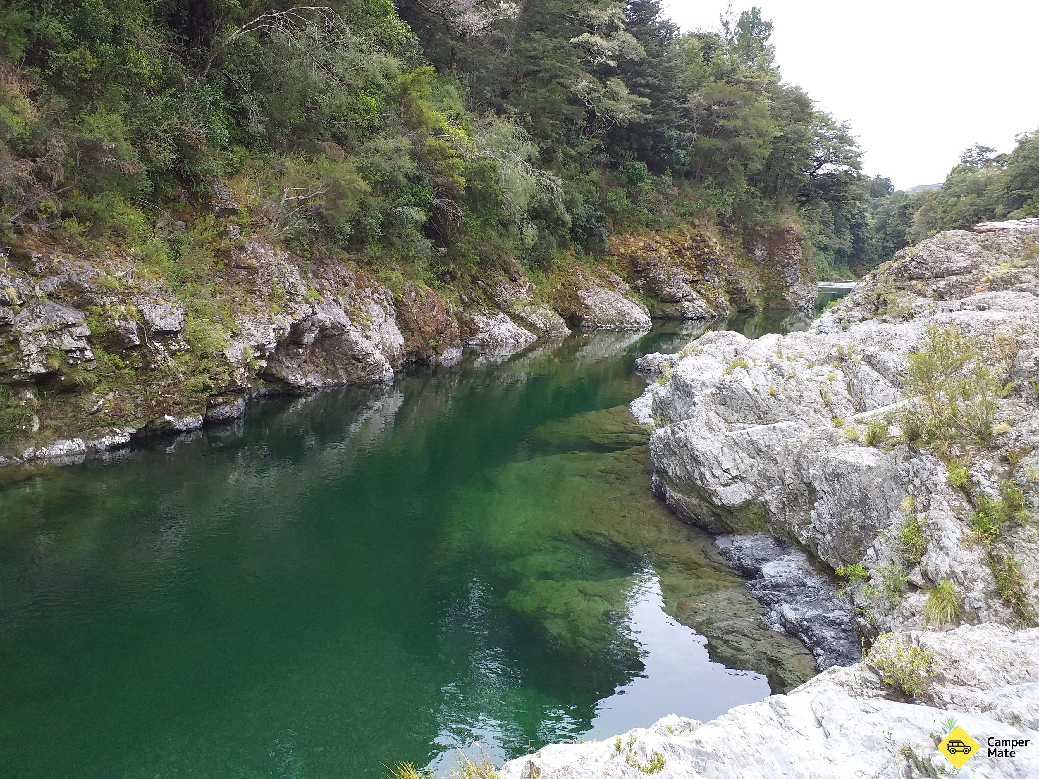 Pelorus Bridge (Kahikatea Flat) Leirintäalue - Image 3