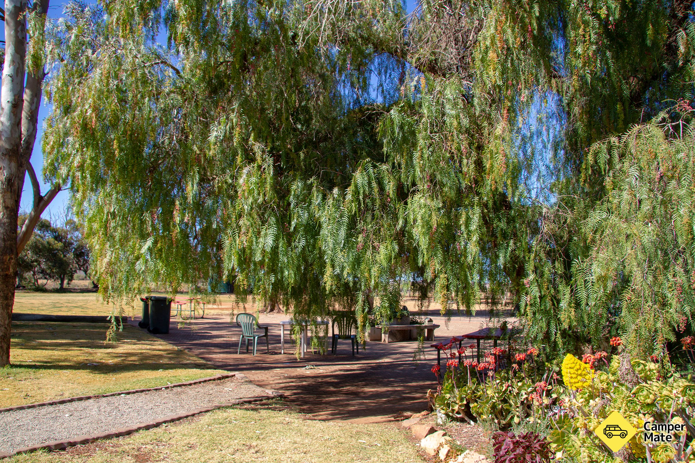 Carrieton Caravan Park