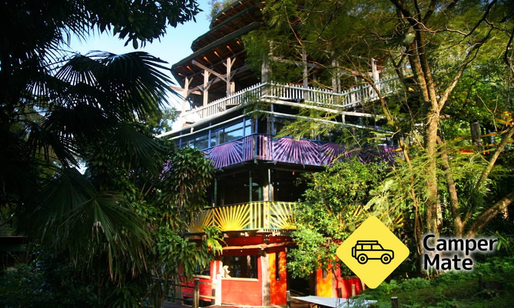 Más información sobre Hinterland Magic and Glow Worm Experience Byron Bay