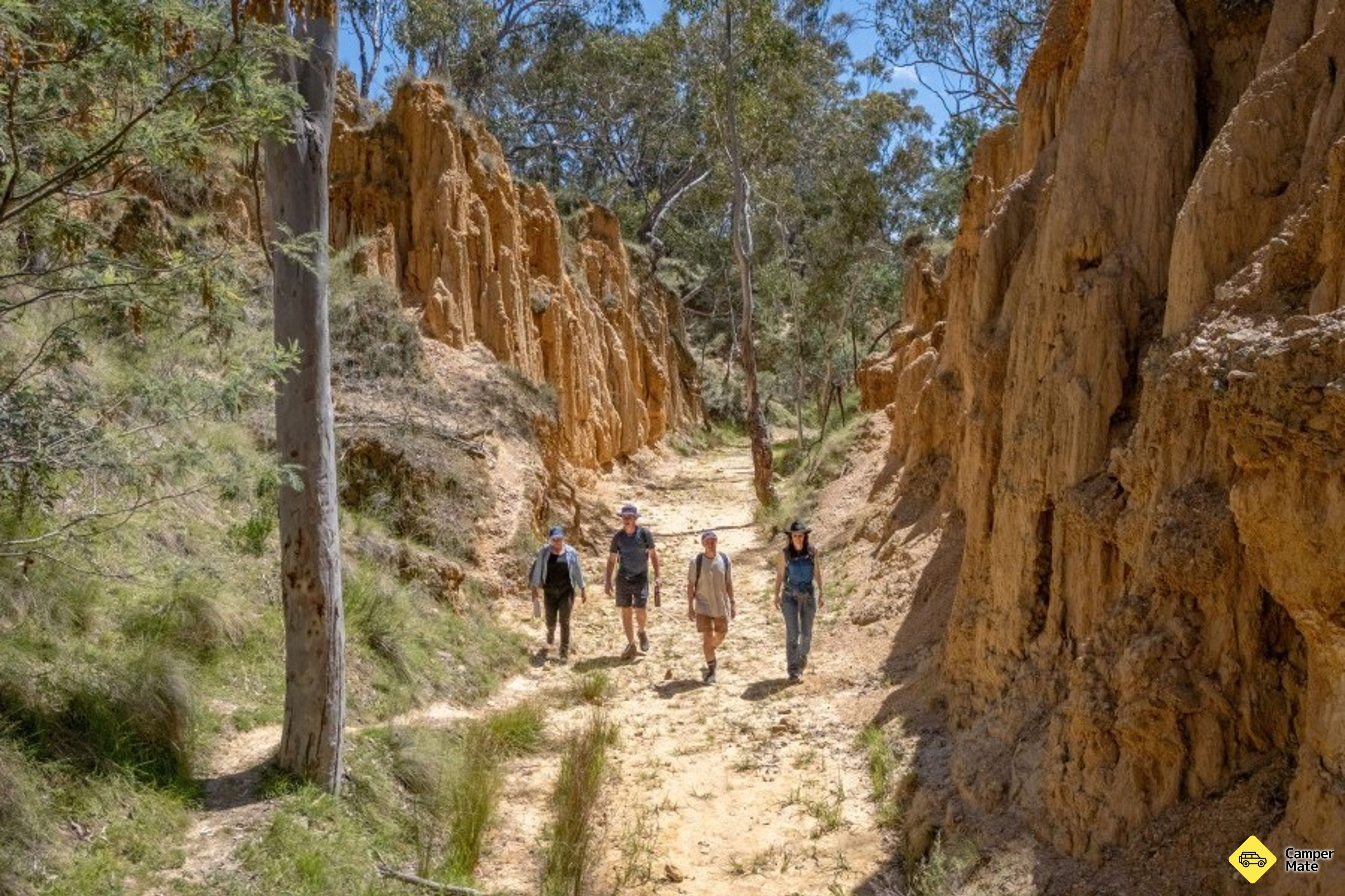 Golden Gully Walking Track - Image 2