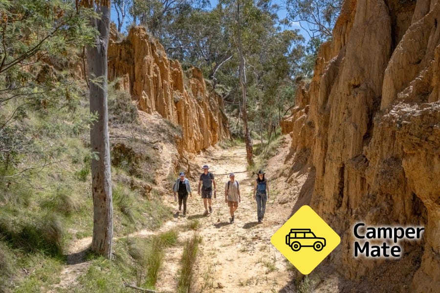Golden Gully Walking Track - Image 2