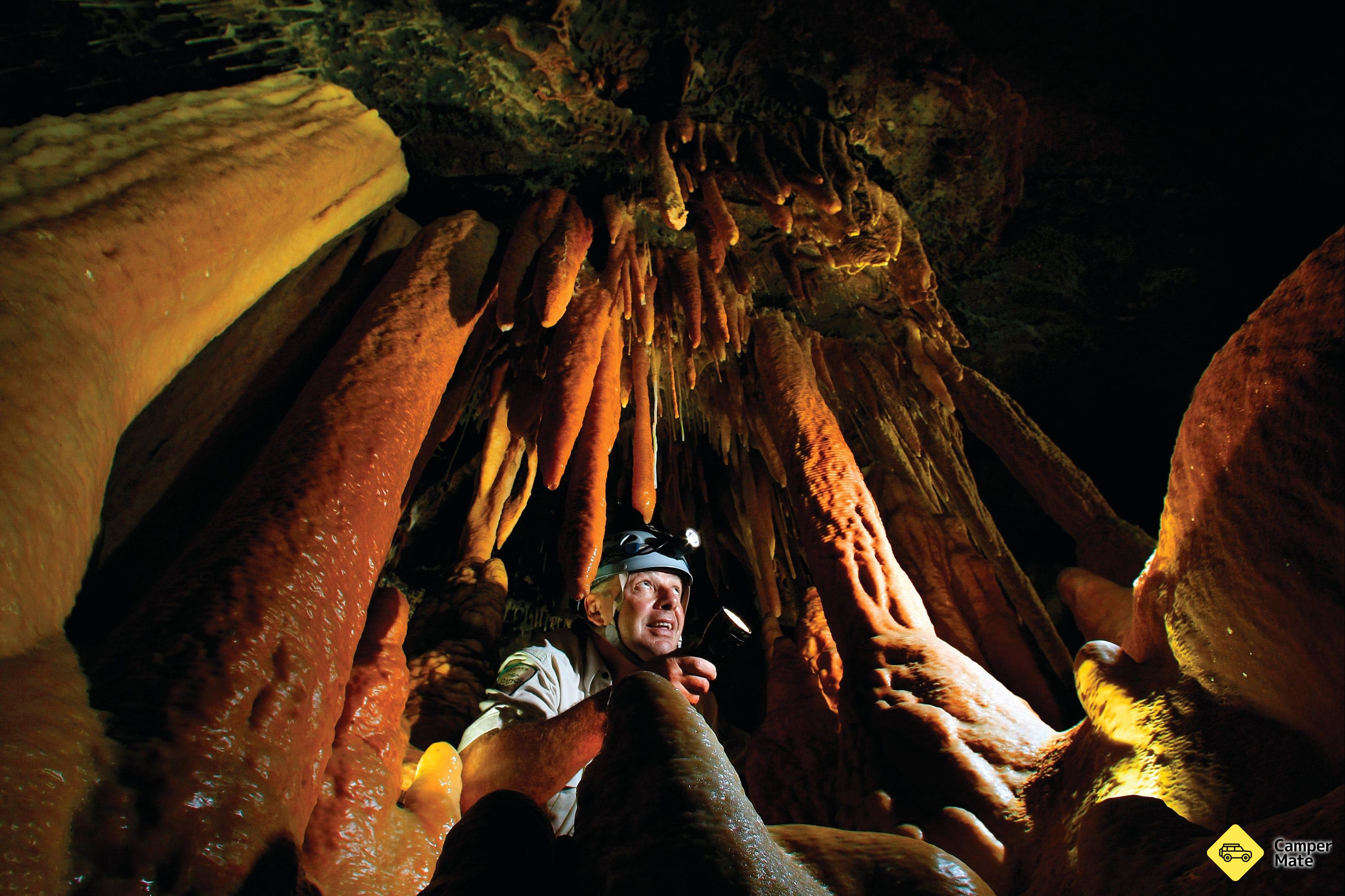 Buchan Caves Reserve