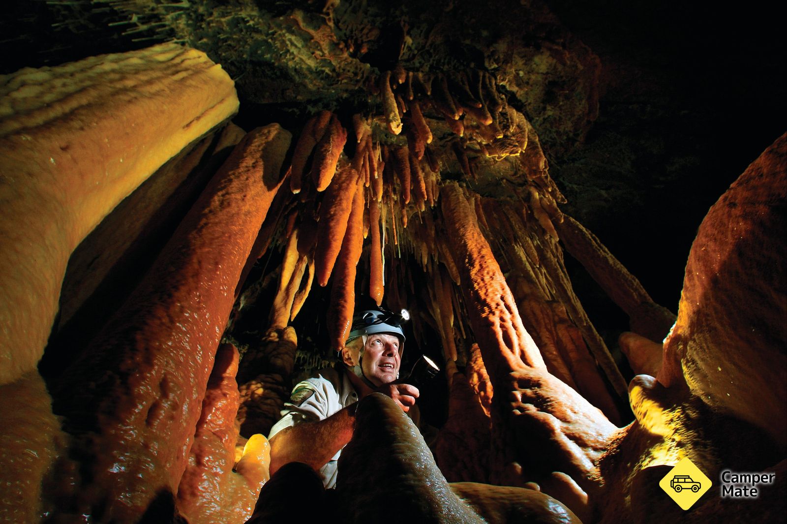Buchan Caves Reserve