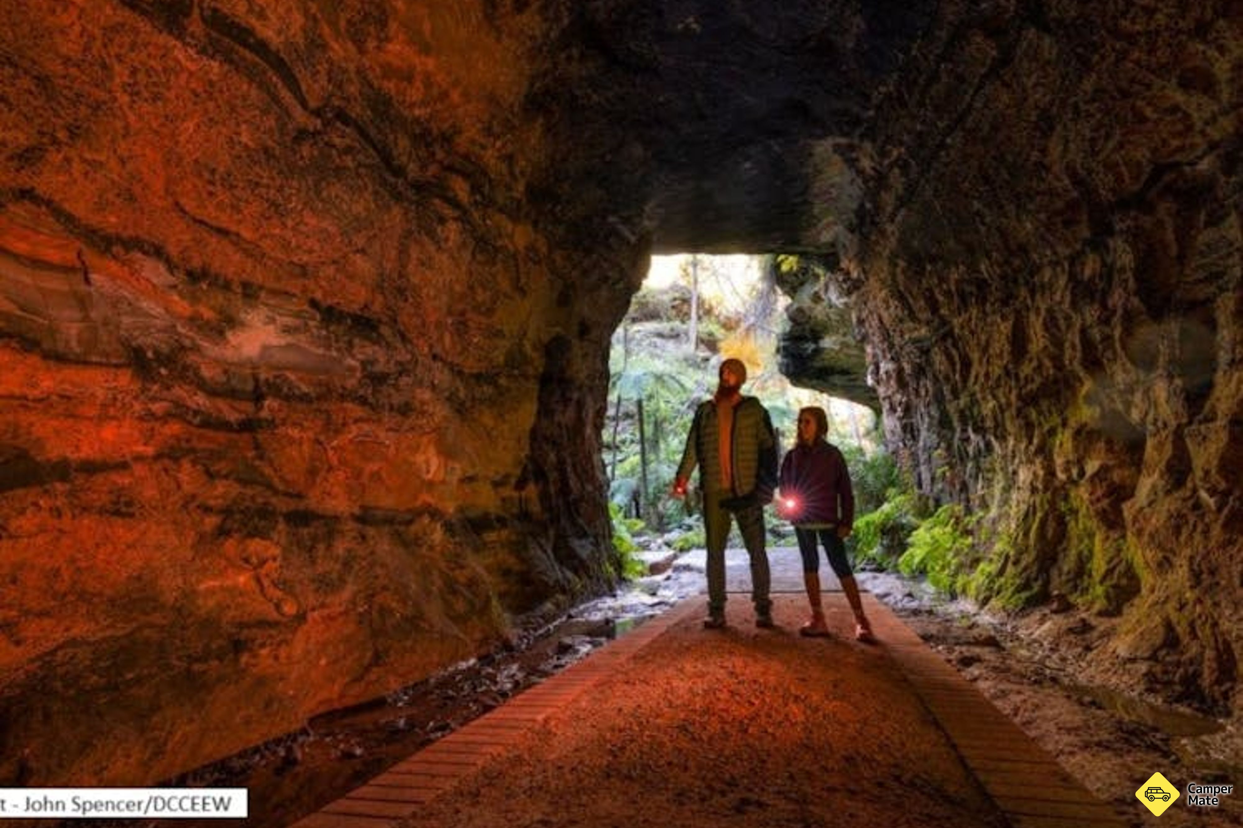 Glow Worm Tunnel - Image 2