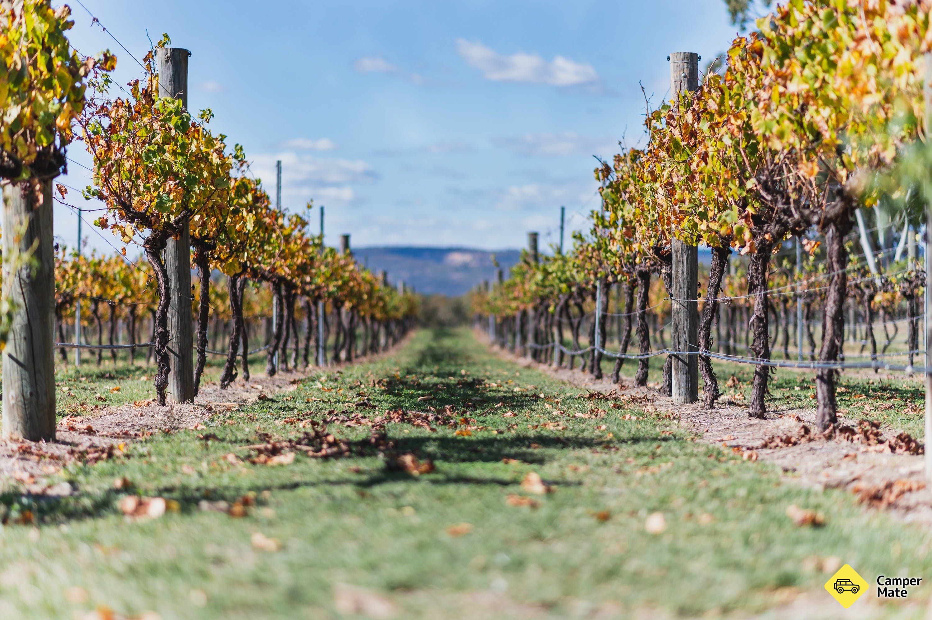 Swan Valley Food and Wine Drive Trail के बारे में टिप्पणियाँ - Image 3
