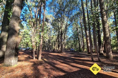 Willow Springs Camping Area