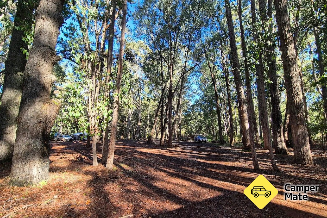 Willow Springs Camping 근처 오락거리