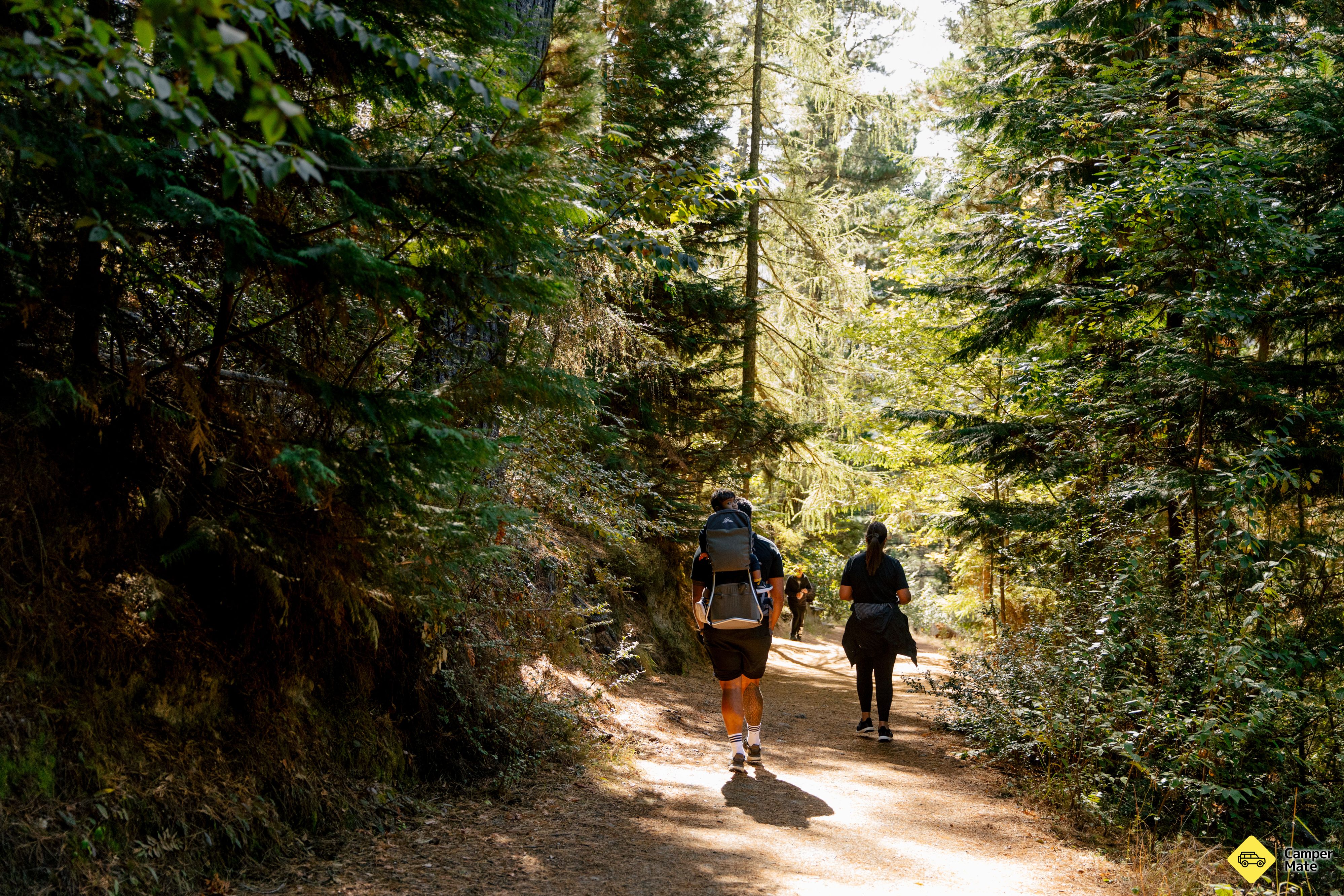 Randonnée Conical Hill Loop Track - Image 3
