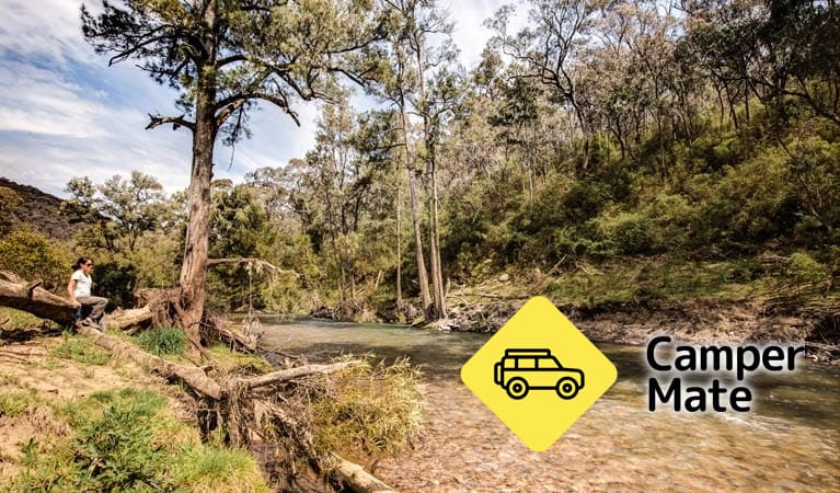Mcintyres Campground - Image 2