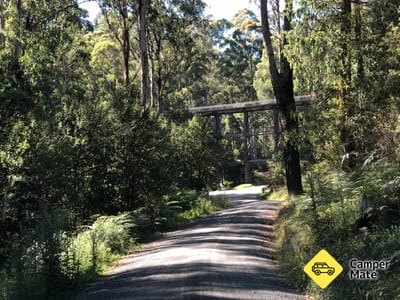 Noojee Trestle Bridge Rail Trail