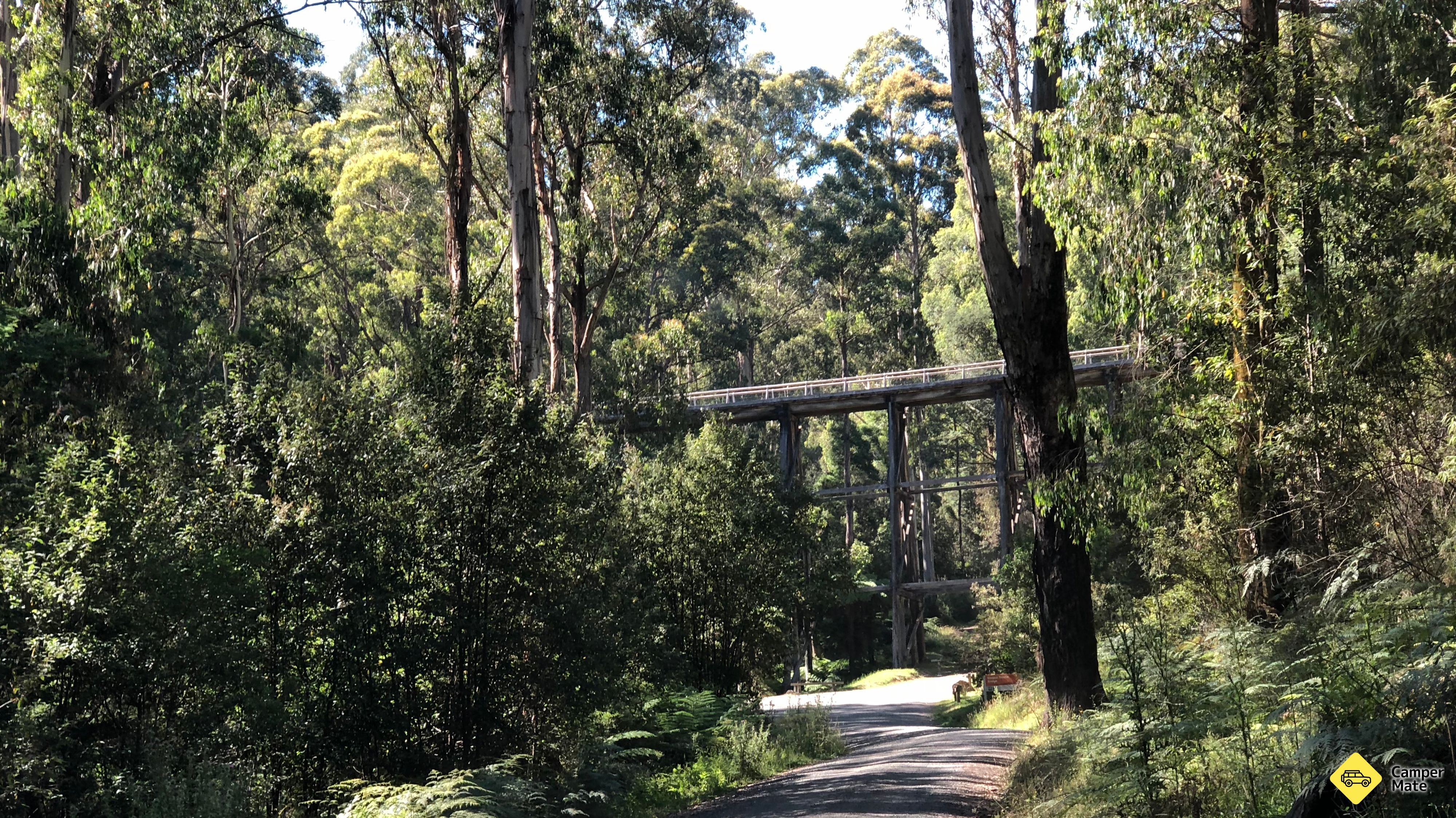 Noojee Trestle Bridge vasútvonal