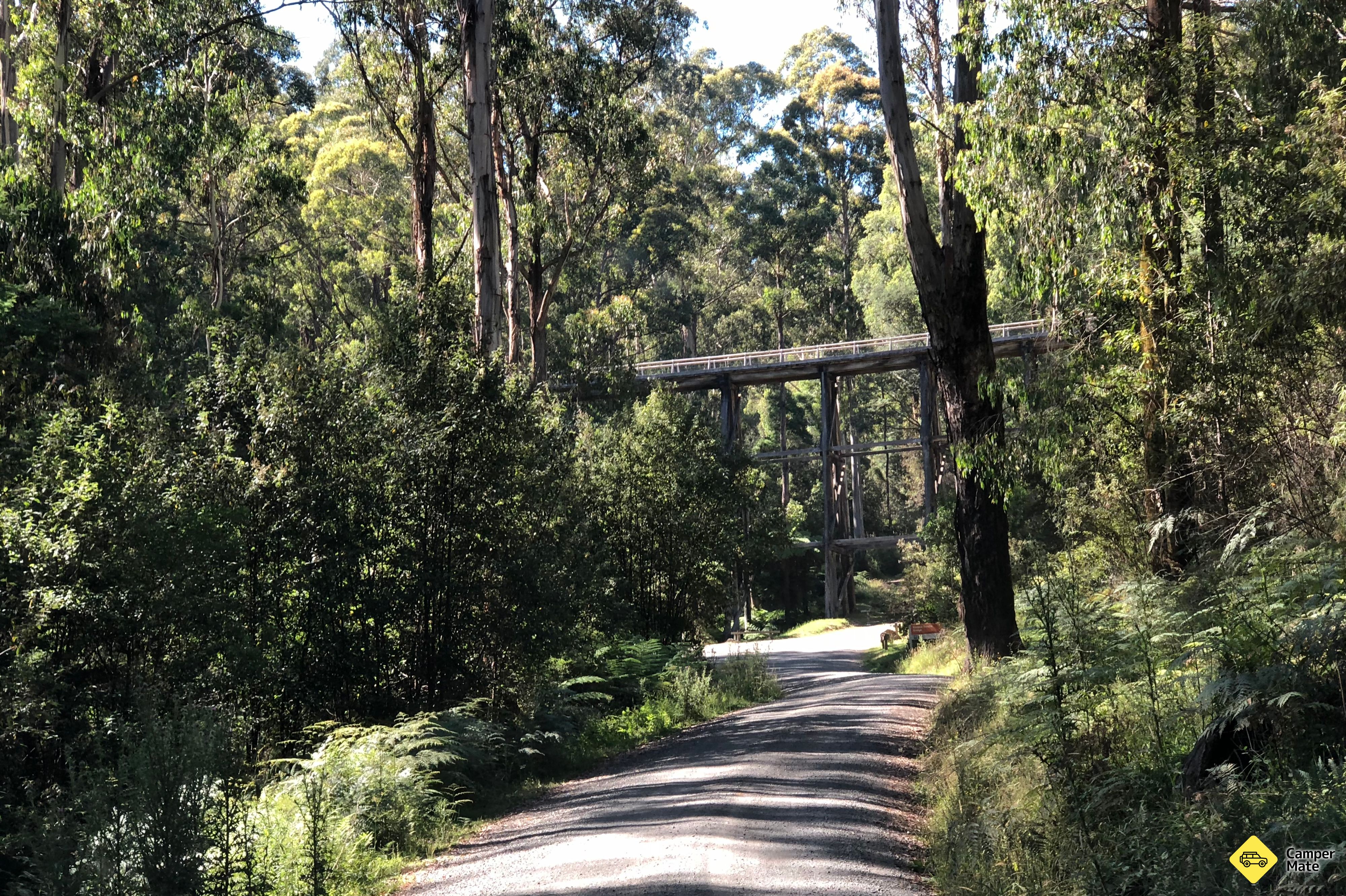 Noojee Trestle Bridge vasútvonal