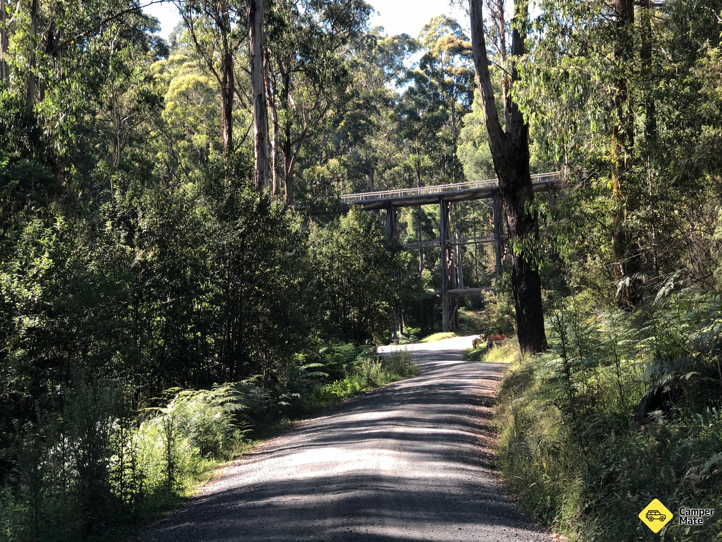 Thông tin Noojee Trestle Bridge Rail Trail