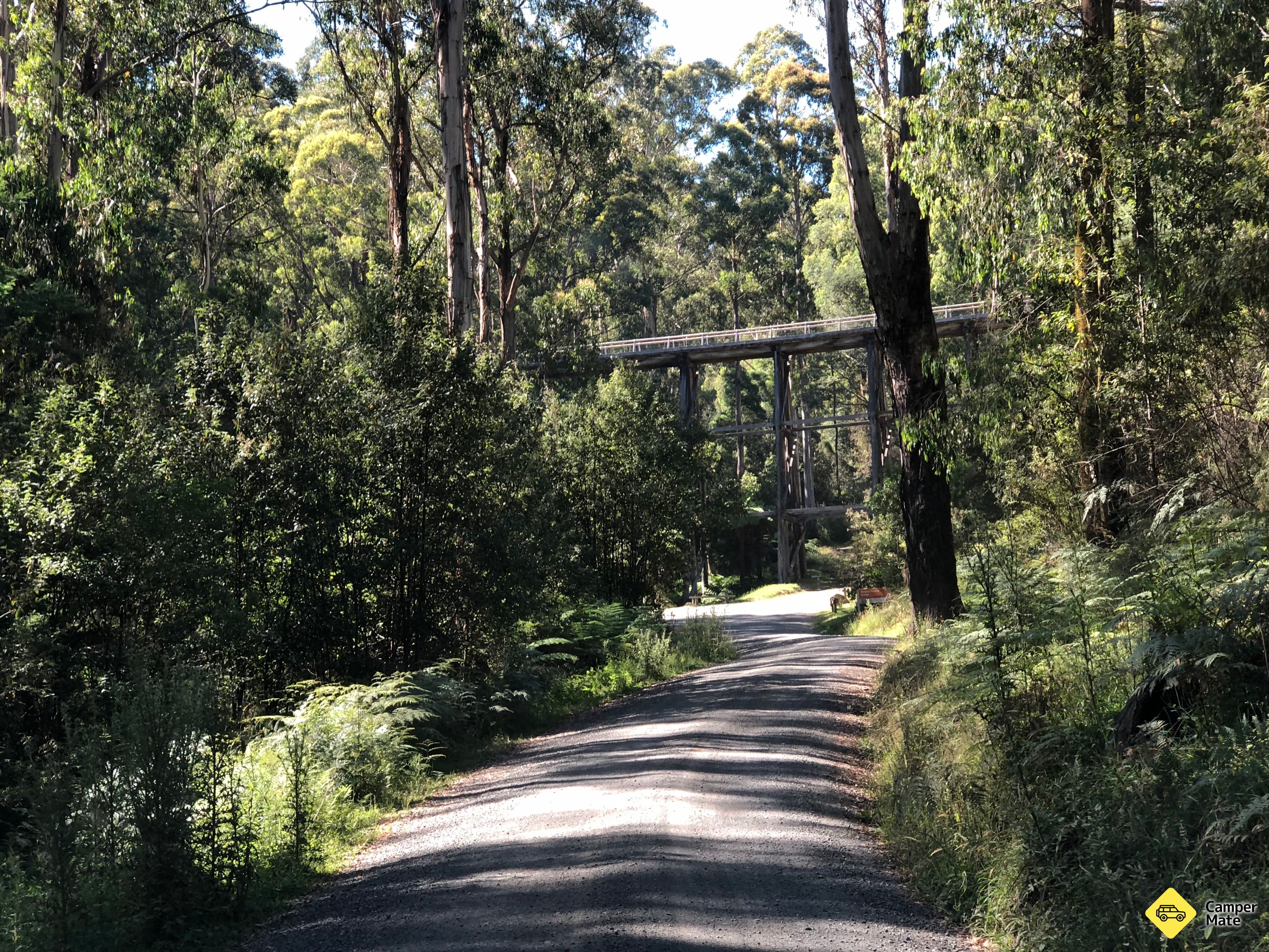 Noojee Trestle Bridge Rail Trail