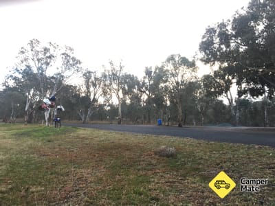 Jeir Creek