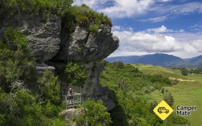 The Grove Scenic Reserve Walk
