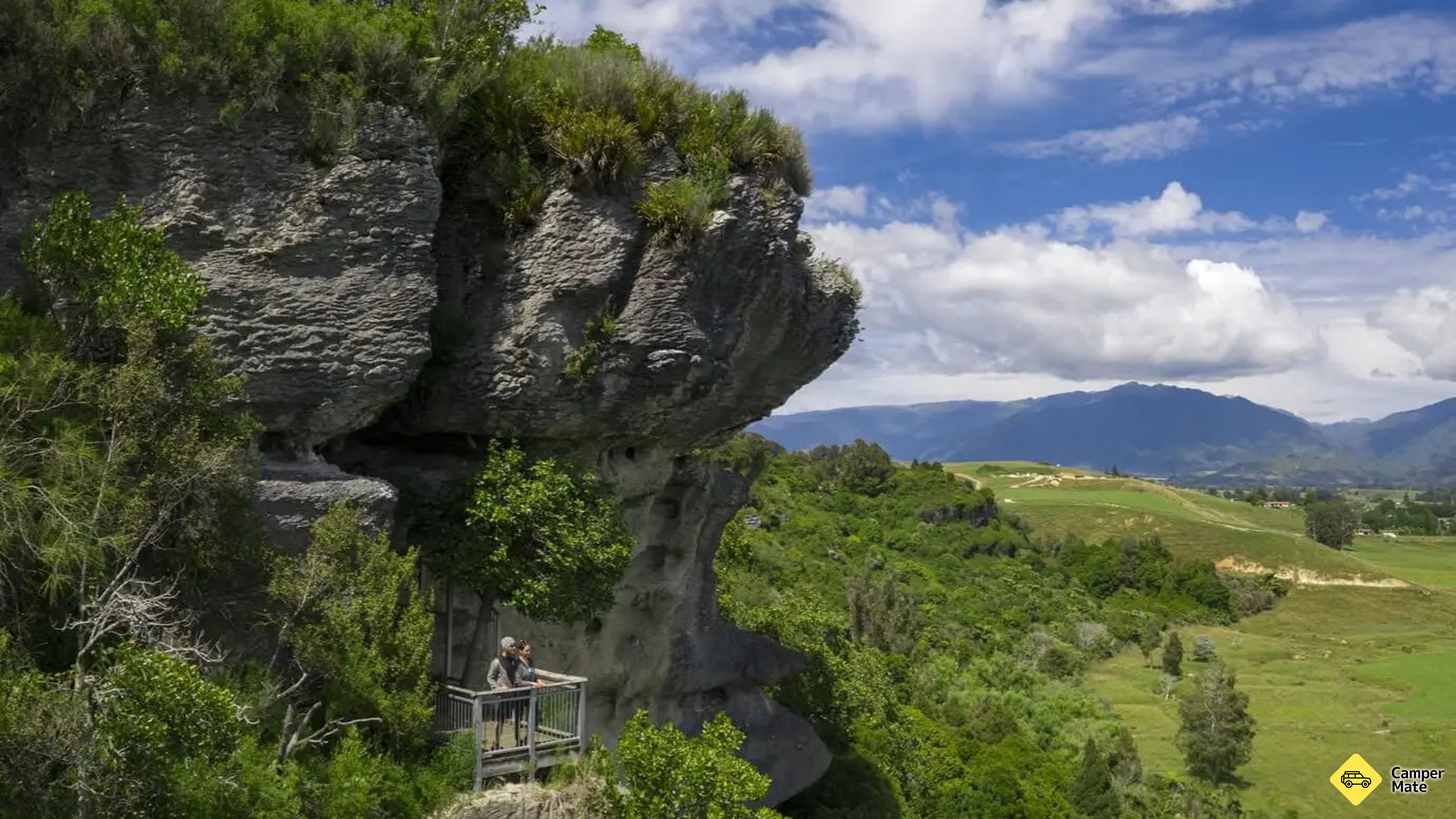 Procházka Grove Scenic Reserve