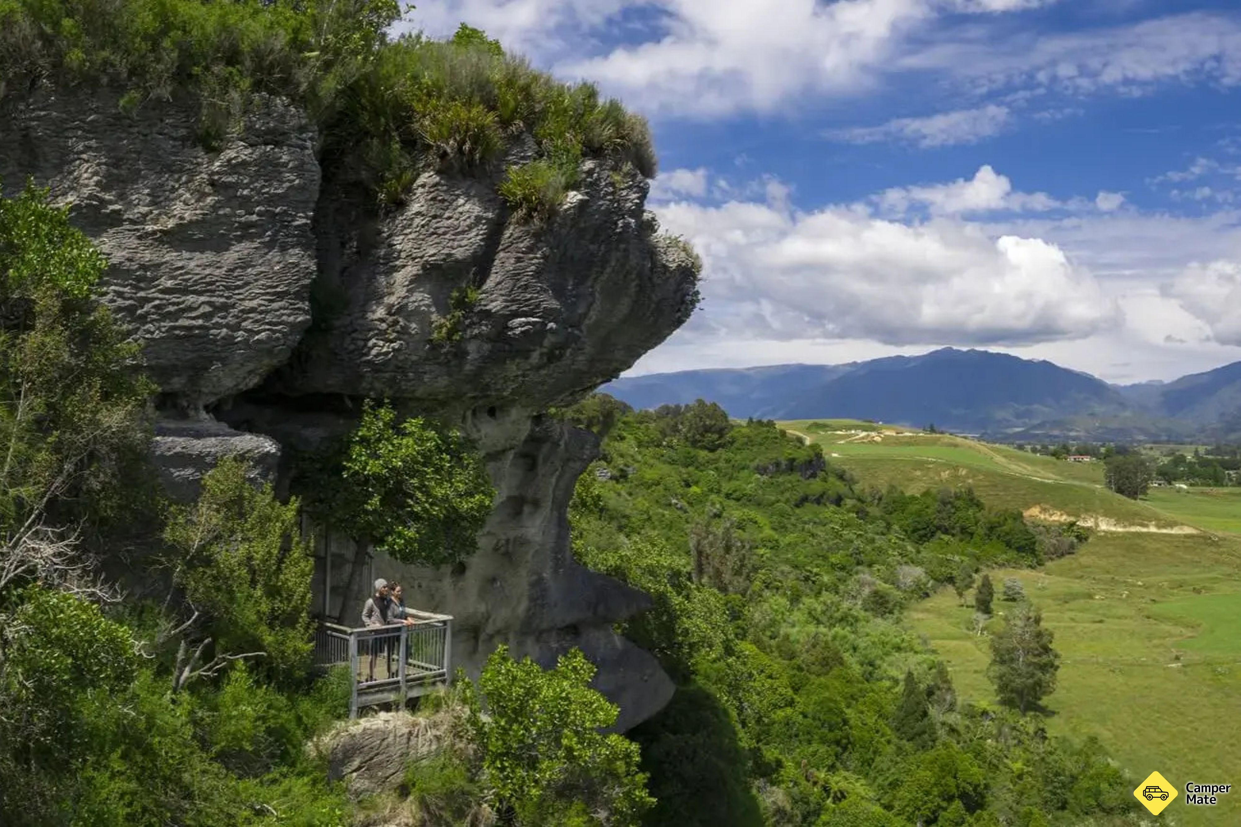 The Grove Scenic Reserve Walk