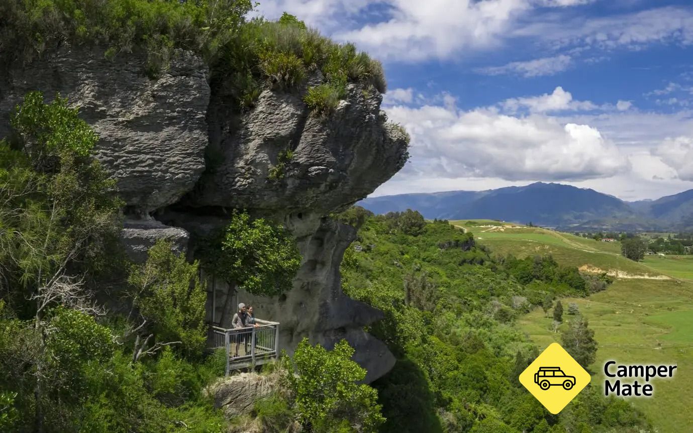 The Grove Scenic Reserve Walk