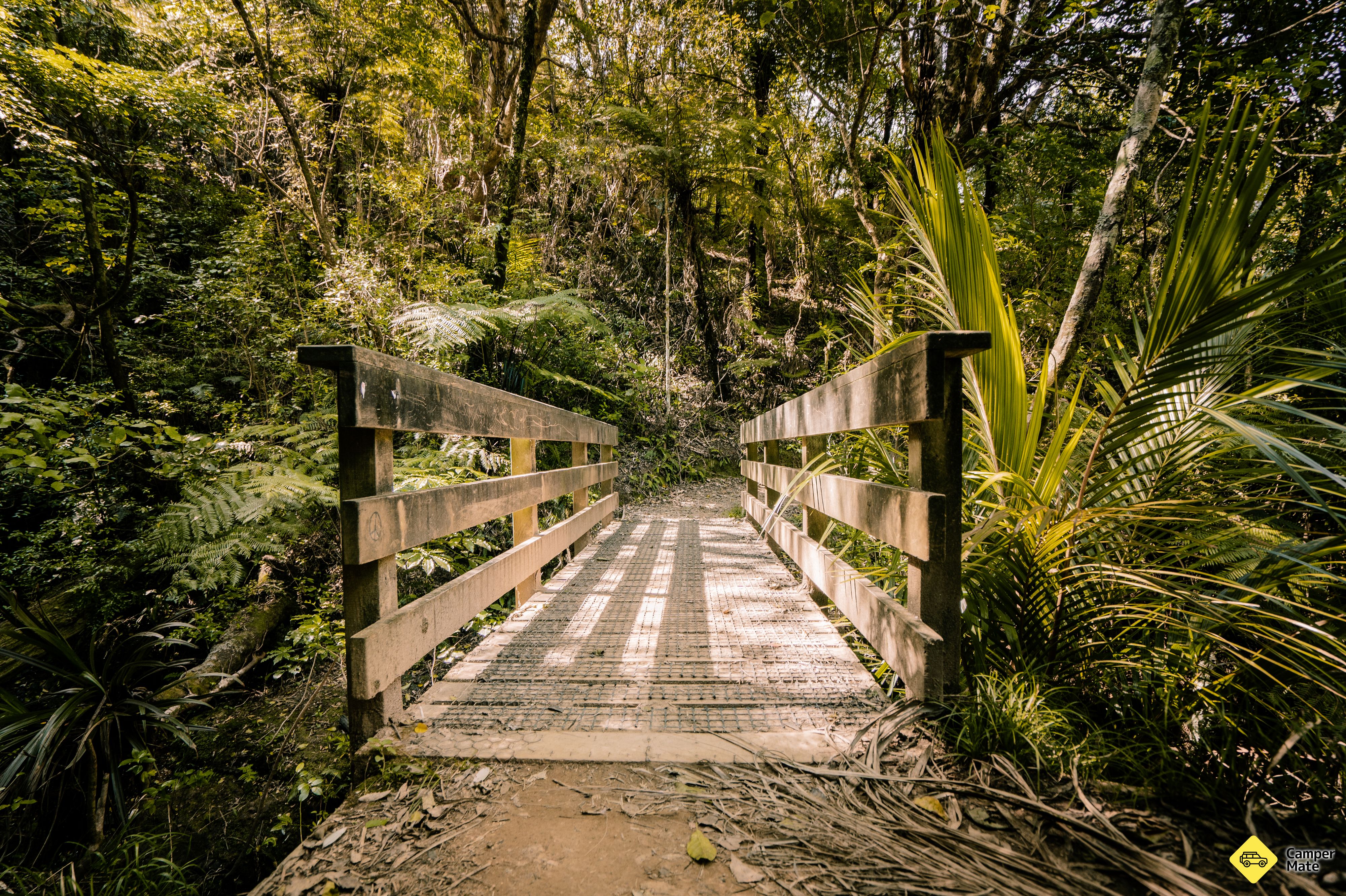 Bowentown Beach Holiday Park, Waihi - Image 3