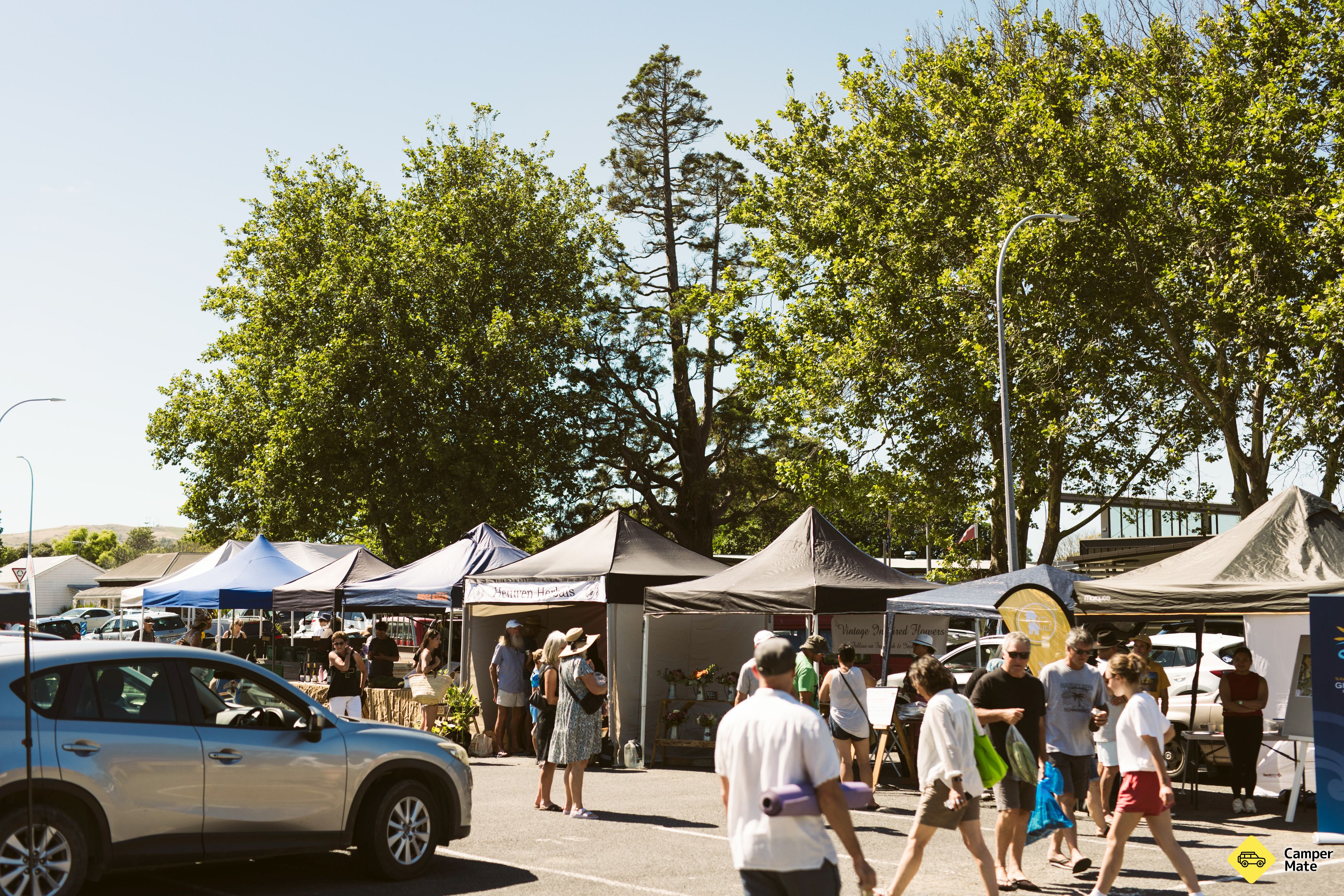 Gisborne Farmers Market