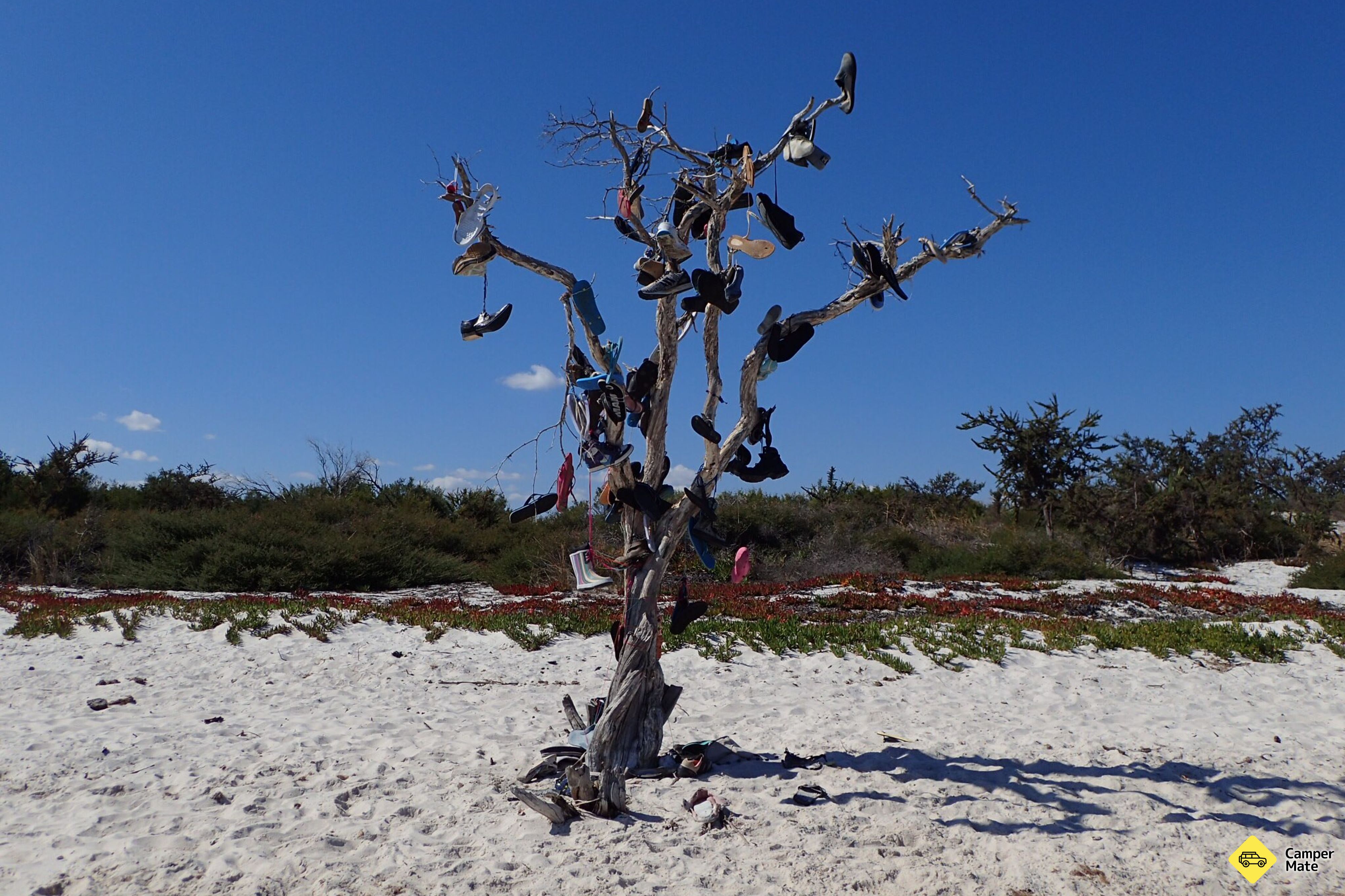 Herron Point Campground - Image 2