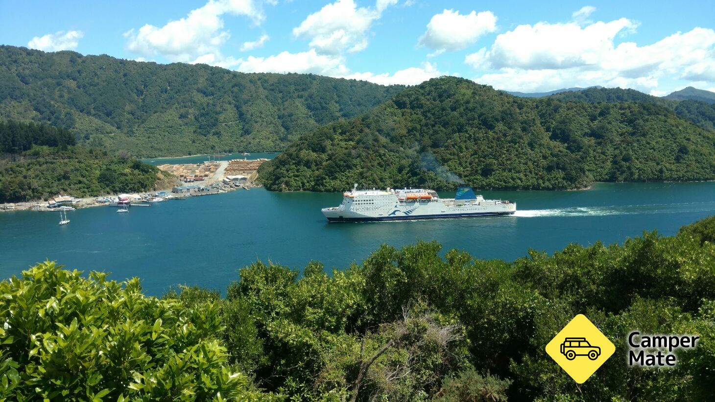Harbour View Track and Lookout