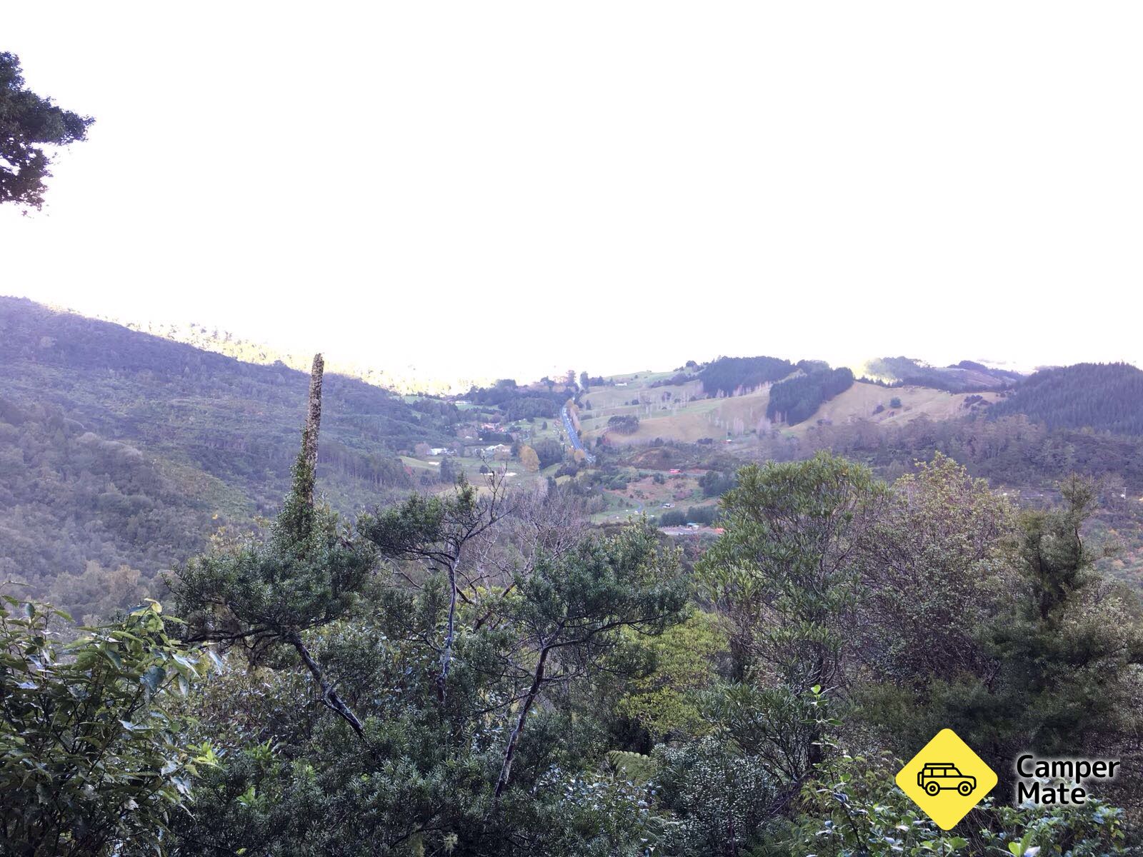 Dome Forest Walkway - Image 2