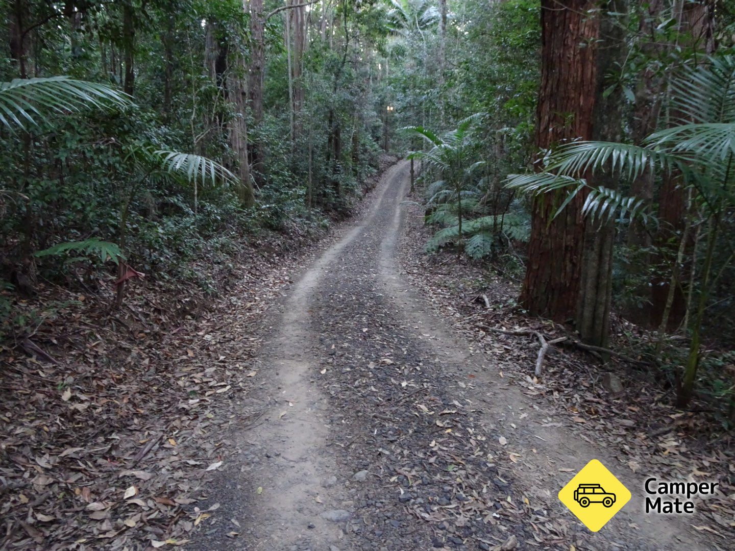 Vakantie Laniakea Rainforest - Image 2