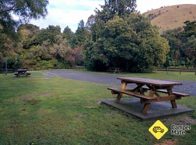 Puhi Puhi Campsite