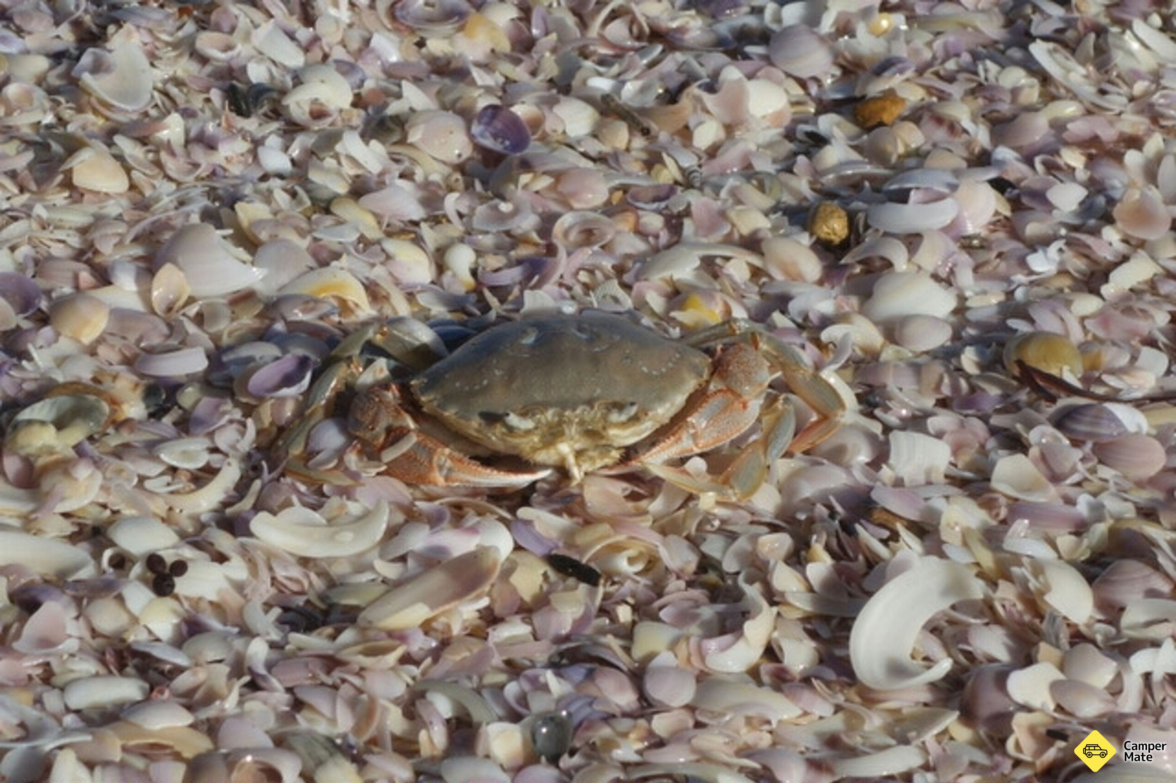 42 Mile Crossing & Beach Πρόσβαση