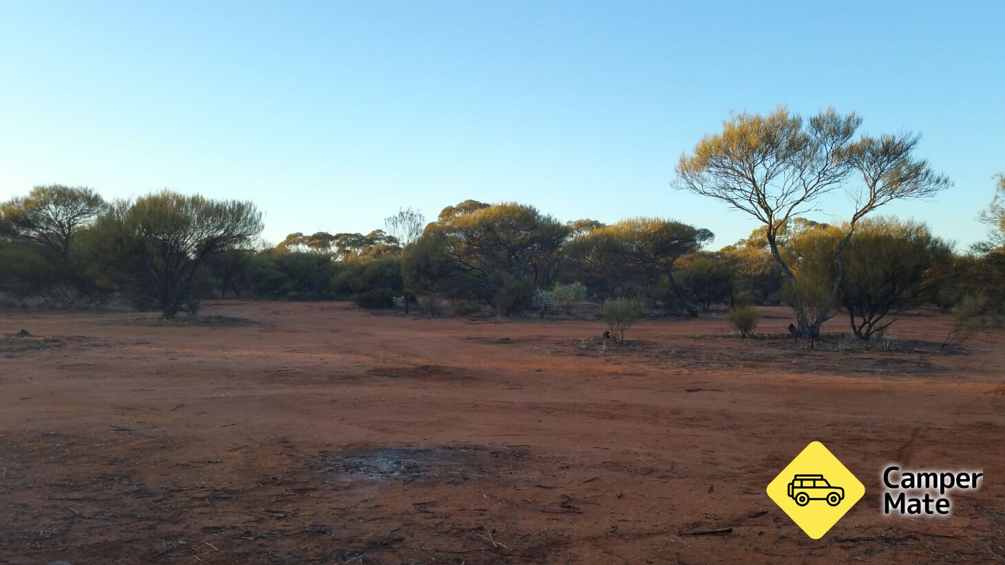 Paynes Find Camp Spot