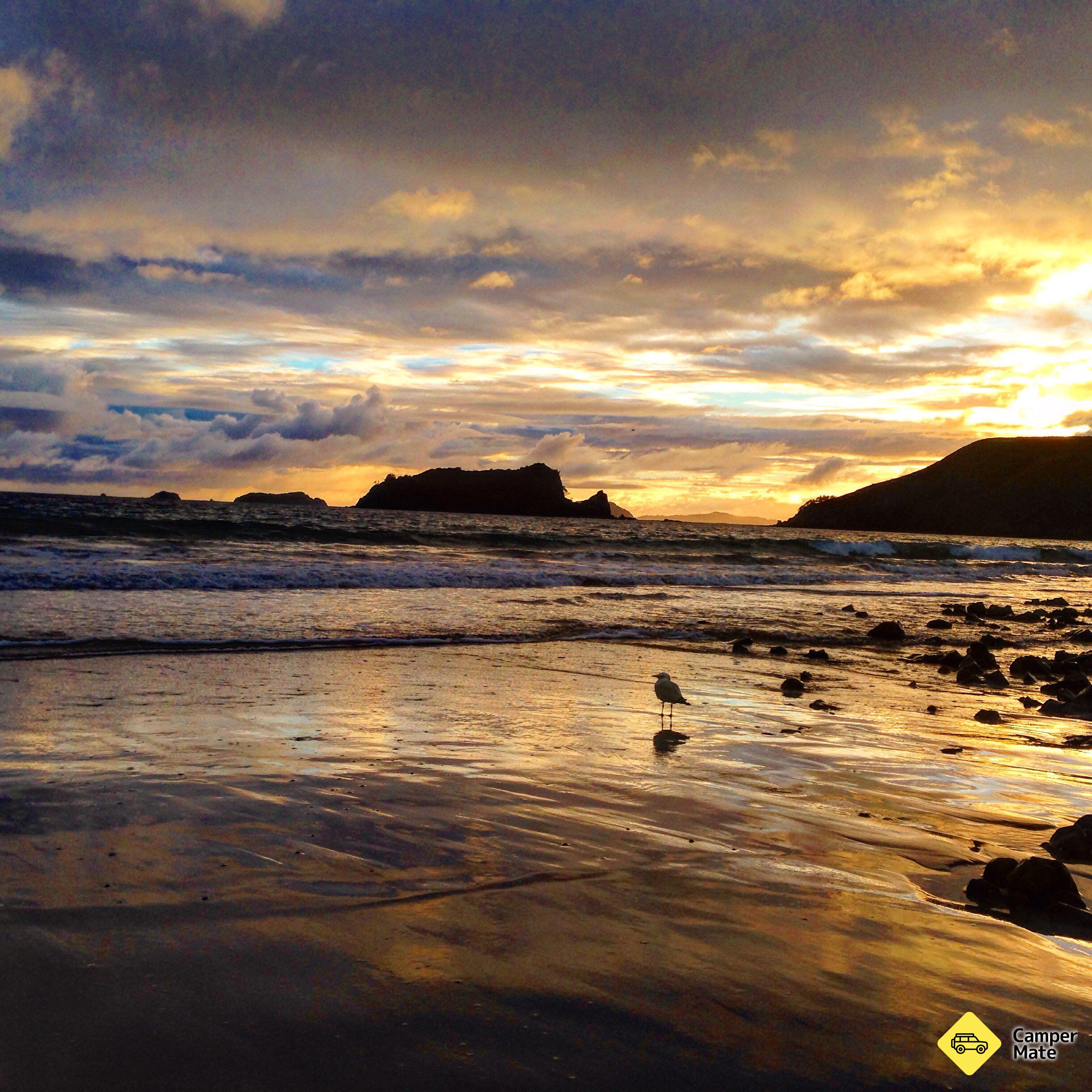 Om Opito Bay Beach