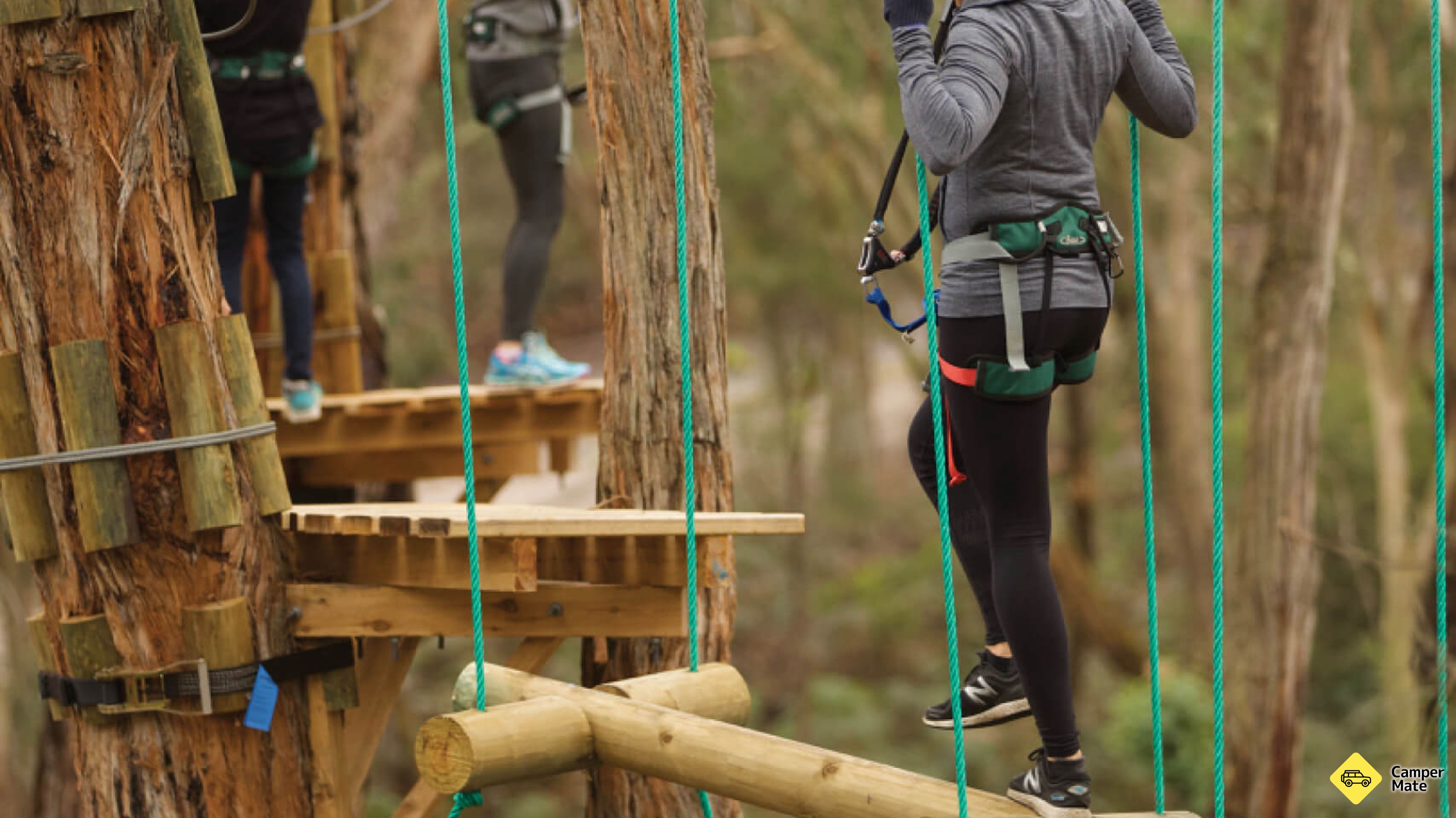 Les aventures de Treetops Yeodene