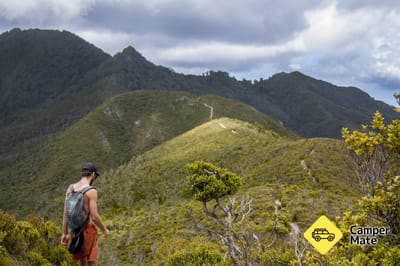 Kaiaraara Track